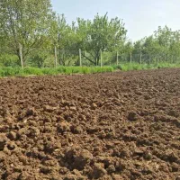 فروش زمین کشاورزی و باغی