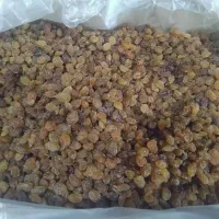 کشمش تیزابی شسته شده درجه یک