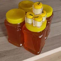 عسل چهل گیاه از کوهساران سرسبز خوانسار|خوردنی و آشامیدنی|تهران, تهرانپارس شرقی|دیوار