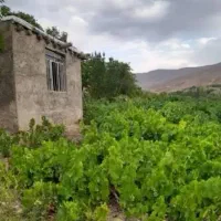 فروش زمین کشاورزی 1700متر /شهرک حاجی آباد