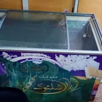 یخچال فریزر خوابیده