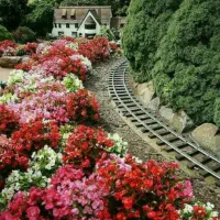 خدمات کار نظافت منزل وآپارتمان راپله انجام میشود