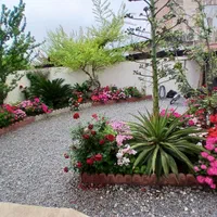 اجاره روزانه/هفتگی/ماهانه ویلا ۵۰ متری|اجارهٔ کوتاه‌مدت ویلا و باغ|بابلسر, |دیوار