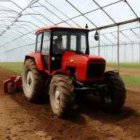 خدمات کشاورزی داخل گلخانه