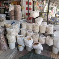 کشک گوسفند