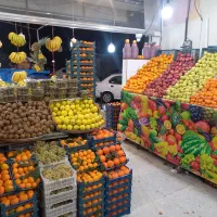 استا کار شاگرد بارچین حرفه ای میوه فروشی
