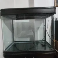 آکواریوم دلسا k800|ماهی|شیراز, شریف‌آباد|دیوار