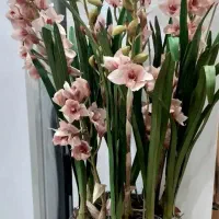 وسایل دکوری منزل