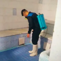 سم پاشی ساختمان