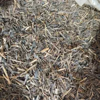 چوب چای درجه یک سطلسر لاهیجان