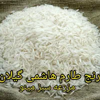 برنج طارم هاشمی گیلان