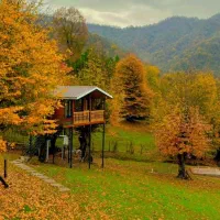 نیازمند یه فقره وام