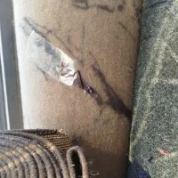 تخیف ویژه عید برای موکت|موکت|اسلام‌شهر, مطهری|دیوار