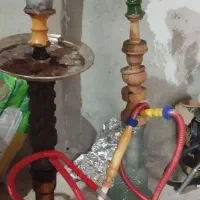 معاوضه با کبوتر