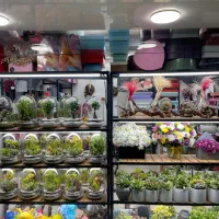 تراریوم دستگل باکس گل تولد مناسبت هدیه