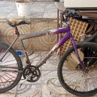 دوچرخه 26|دوچرخه، اسکیت، اسکوتر|بیجار, |دیوار