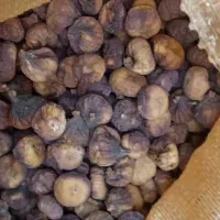 انجیر  سایز دار|خوردنی و آشامیدنی|شیراز, بازار|دیوار