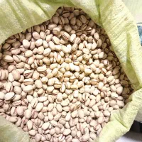 پسته کله قوچی دستچین شده درجه یک