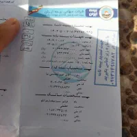 405دلفینی|خودرو سواری و وانت|جیرفت, |دیوار