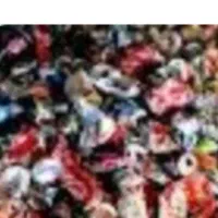 ضایعات قوطی رانی