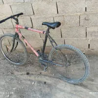 26 تنه آساک|دوچرخه، اسکیت، اسکوتر|کرباسک, |دیوار