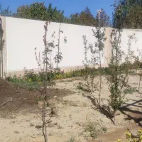 ویلایی-400-متری