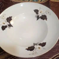 ظرف میوه زرین نو
