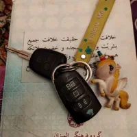 پیدا شدن دسته کلید