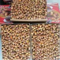 قصب|عمده‌فروشی|بوشکان, |دیوار