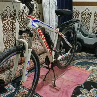 کوت عبدالله