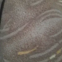 موکت  کارکرده