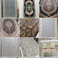 گالری فرش امیر|فرش|سنندج, |دیوار