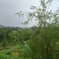 ۴۵۰ متر زمین در روستای چوبر