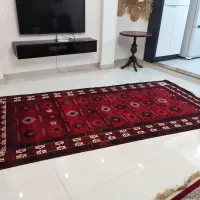 فرش دستباف طرح بلوچ|فرش|ساری, |دیوار