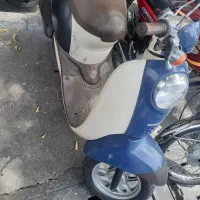 پاکشتی سالم