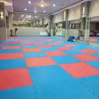 نیاز به مربی ایروبیک، پلاتس، آمادگی جسمانی و یوگا