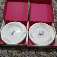 بشقاب گل ویکتوریا اصل فرانسه|ظروف سرو و پذیرایی|رفسنجان, |دیوار