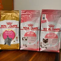 غذا خشک رویال کنین سگ و گربه اصل