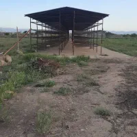 مشارکت  در پرورش قارچ خوراکی و گیاهان و ماهی