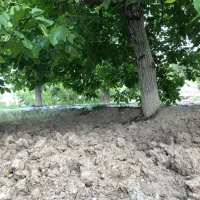 فروش یک ساعت اب