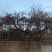۸۵متر ویلایی/سنددار خ رضاییان درب حیاط ماشین رو|فروش خانه و ویلا|اصفهان, عطار نیشابوری|دیوار