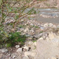 راهنمایی کنید