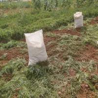 گروه کارگری