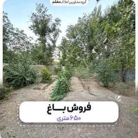 فروش باغ در نوجه ده|فروش زمین و ملک کلنگی|شبستر, |دیوار