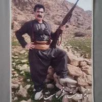 تبدیل عکس شما به تابلوفرش‌|تابلو فرش|کرمان, |دیوار