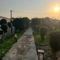 خدمات فضای سبز و باغبانی|خدمات باغبانی و درختکاری|ساری, |دیوار