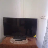 نو بدلیل مهاجرت