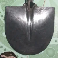 بیل فیل ژاپنی به شرط