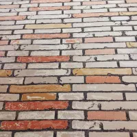 فرش طرح دستبافت گونه