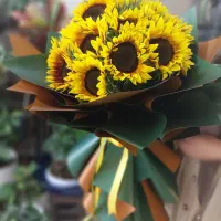 دسته گل افتاب گردون|گل و گیاه طبیعی|اصفهان, شاهزید|دیوار